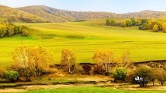 金秋乌兰布统——杨树背（36）