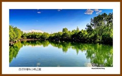 白河中华秋沙鸭公园一独行吉林2025（039）延吉州安图县