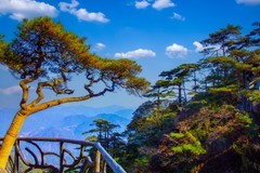 山清山风景48