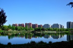 湿地漫步（续1）