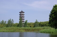 盐城大纵湖--芦荡迷宫
