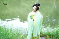 【湖畔春芜·唐影栖青】---引力