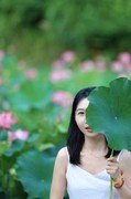 夏荷