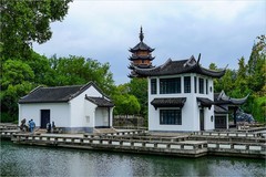 2026年第0083贴-常州天宁寺红梅公园游拍（0129）