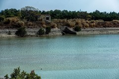 茂名电白 · 万亩红树林