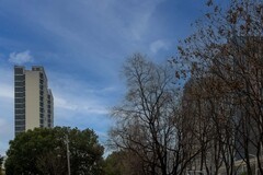 庐州印象（564）匡河公园