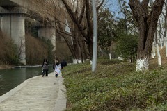 庐州印象（564）匡河公园