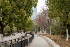 庐州印象（565）政务文化商圈