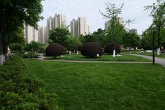 武汉映像---关山荷兰风情园风光！