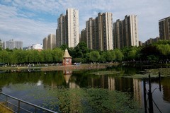 武汉映像---关山荷兰风情园风光！