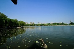 仲春——明湖风光