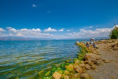 大理洱海风景 10