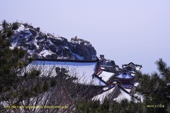 登泰山 随拍（四）