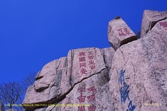 登泰山 随拍（四）