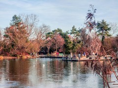 冬摄“湿地公园绿色80”（瑞士巴塞尔）