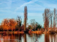 冬摄“湿地公园绿色80”（瑞士巴塞尔）