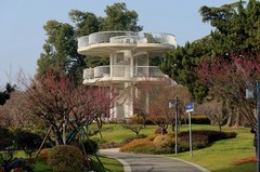 武汉梅花园（十一）