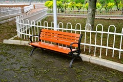 雨后的森林公园空气新
