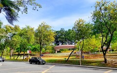 [26134] 麓湖公园的路边