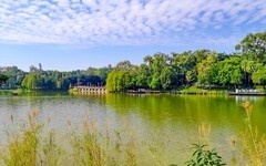 [26134] 麓湖公园的路边