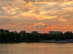 2026年- 陶然亭落日夕阳红-0518