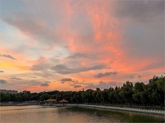 2026年- 陶然亭落日夕阳红-0518