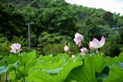 2026夏天游（12）天然丹霞坦洞——盐坦