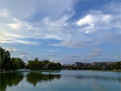 2026年- 陶然亭风光纪实拍-0520