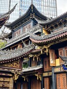 大隐于市的罗汉寺-4