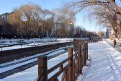 边走边拍（十六）