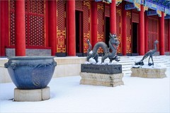 2026年第0086贴-颐和园风光纪实游拍（0130）