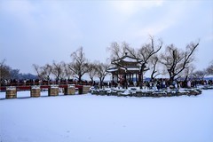 2026年第0086贴-颐和园风光纪实游拍（0130）