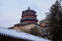 2026年第0087贴-颐和园风光纪实游拍（0130）