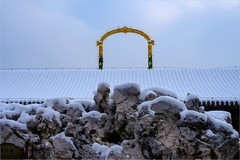 2026年第0087贴-颐和园风光纪实游拍（0130）