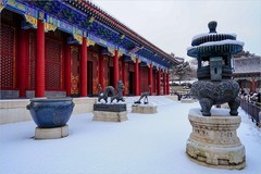 2026年第0087贴-颐和园风光纪实游拍（0130）