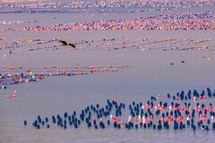 外出随拍（821）.