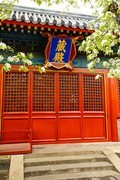 智华寺梨花之一