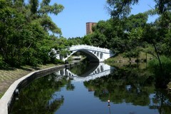 阳明公园之夏（完）