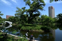 阳明公园之夏（完）