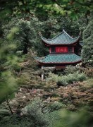 岳麓山上