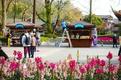 都江堰景区碎片