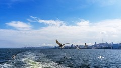 海参崴——艇上拍（15）