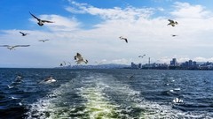 海参崴——艇上拍（15）