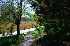 明天立夏，赶紧抓住春天的小尾巴