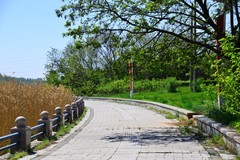 明天立夏，赶紧抓住春天的小尾巴