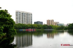 夏天的流花湖。