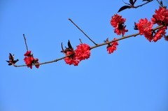 小区随拍