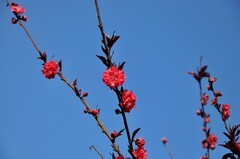 小区随拍