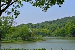 雕塑公园随拍