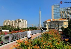 在海珠区的网红花天桥。。。。。。